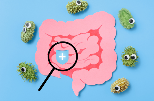 Gut Column Gut Health Column | NanoGAS®-FMT Gut Microbiota & Intestinal Health Column
