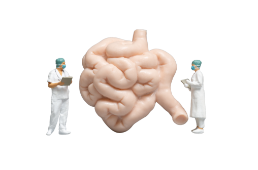 Gut Column Gut Health Column | NanoGAS®-FMT Gut Microbiota & Intestinal Health Column
